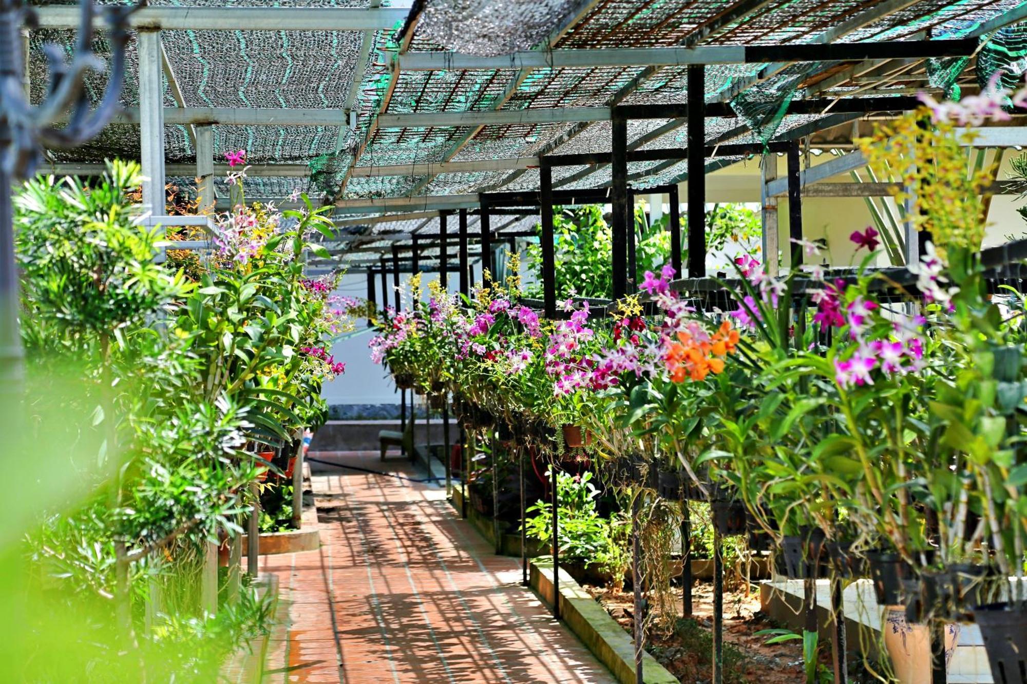 881 Lam Ha Pool Resort Phu Quoc Exterior foto
